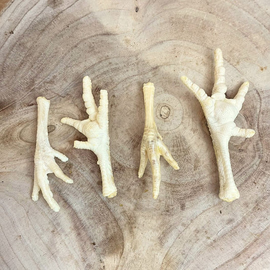 Chicken Feet Puffed (single) Origin Pets Longton