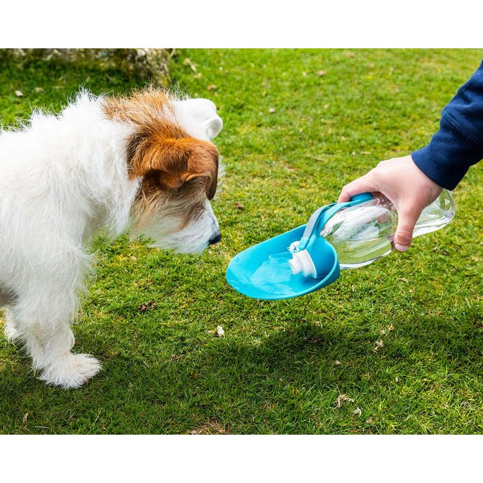 Henry Wag Water Bottle with Leaf Bowl Blue