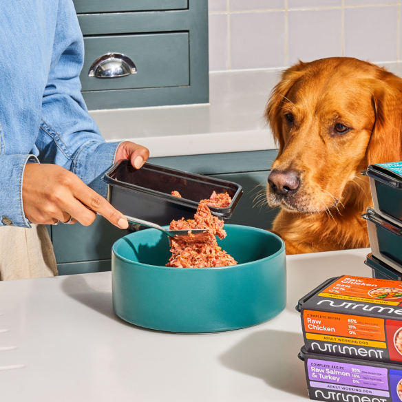Nutriment Dog Duck 500g